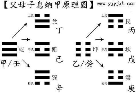 六親易經|六爻基礎知識系列教程——六爻裝卦法